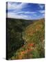 View of Blackwater Canyon in Autumn, Blackwater Falls State Park, West Virginia, USA-Adam Jones-Stretched Canvas