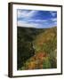 View of Blackwater Canyon in Autumn, Blackwater Falls State Park, West Virginia, USA-Adam Jones-Framed Photographic Print