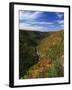 View of Blackwater Canyon in Autumn, Blackwater Falls State Park, West Virginia, USA-Adam Jones-Framed Photographic Print