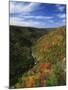 View of Blackwater Canyon in Autumn, Blackwater Falls State Park, West Virginia, USA-Adam Jones-Mounted Photographic Print