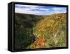 View of Blackwater Canyon in Autumn, Blackwater Falls State Park, West Virginia, USA-Adam Jones-Framed Stretched Canvas