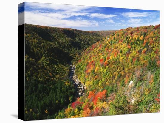 View of Blackwater Canyon in Autumn, Blackwater Falls State Park, West Virginia, USA-Adam Jones-Stretched Canvas