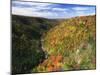 View of Blackwater Canyon in Autumn, Blackwater Falls State Park, West Virginia, USA-Adam Jones-Mounted Photographic Print