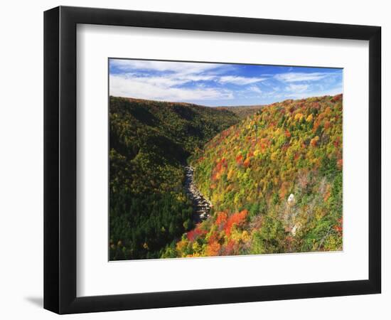 View of Blackwater Canyon in Autumn, Blackwater Falls State Park, West Virginia, USA-Adam Jones-Framed Photographic Print