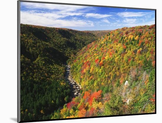 View of Blackwater Canyon in Autumn, Blackwater Falls State Park, West Virginia, USA-Adam Jones-Mounted Photographic Print