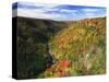 View of Blackwater Canyon in Autumn, Blackwater Falls State Park, West Virginia, USA-Adam Jones-Stretched Canvas