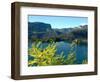 View of Bled Island from Bled Castle, Lake Bled, Slovenia-Lisa S. Engelbrecht-Framed Photographic Print