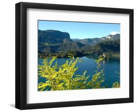 View of Bled Island from Bled Castle, Lake Bled, Slovenia-Lisa S. Engelbrecht-Framed Photographic Print