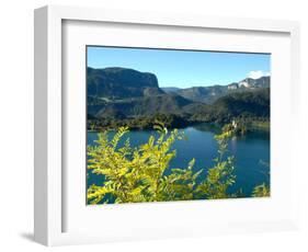 View of Bled Island from Bled Castle, Lake Bled, Slovenia-Lisa S. Engelbrecht-Framed Photographic Print