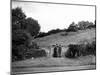 View of Bloomfield 'Tump', Bath 1951-Greaves-Mounted Photographic Print