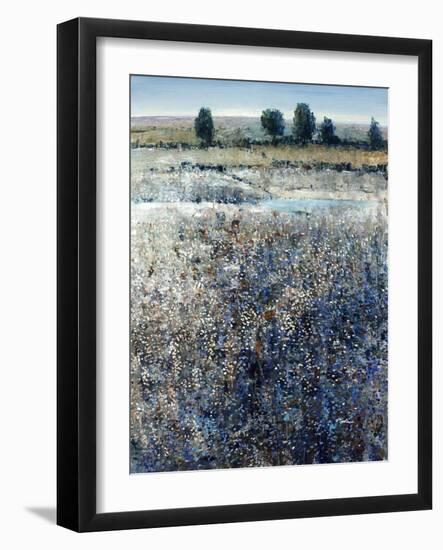 View of Blueberry Creek-O'Toole O'Toole-Framed Giclee Print