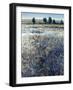 View of Blueberry Creek-O'Toole O'Toole-Framed Giclee Print