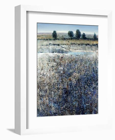 View of Blueberry Creek-O'Toole O'Toole-Framed Giclee Print