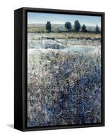 View of Blueberry Creek-O'Toole O'Toole-Framed Stretched Canvas