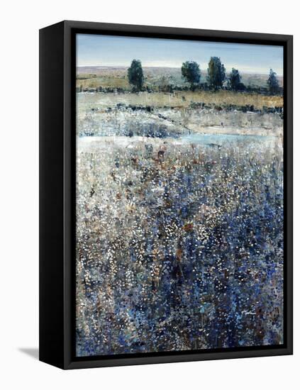 View of Blueberry Creek-O'Toole O'Toole-Framed Stretched Canvas