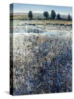 View of Blueberry Creek-O'Toole O'Toole-Stretched Canvas