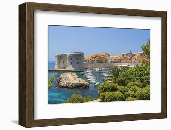 View of boats in Old Port, Dubrovnik, Dalmatian Coast, Adriatic Sea, Croatia, Eastern Europe.-Tom Haseltine-Framed Photographic Print