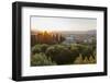 View of Boboli Garden and Kafehaus from Forte Belvedere,-Guido Cozzi-Framed Photographic Print