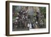 View of Boole, the Largest Tree in the World - Fresno County, CA-Lantern Press-Framed Art Print