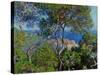 View of Bordhighera, Italy.-Claude Monet-Stretched Canvas