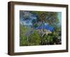 View of Bordhighera, Italy.-Claude Monet-Framed Premium Giclee Print