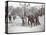 View of Boys Playing Basketball on a Court at Tompkins Square Park on Arbor Day, New York, 1904-Byron Company-Stretched Canvas