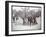 View of Boys Playing Basketball on a Court at Tompkins Square Park on Arbor Day, New York, 1904-Byron Company-Framed Giclee Print