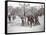 View of Boys Playing Basketball on a Court at Tompkins Square Park on Arbor Day, New York, 1904-Byron Company-Framed Stretched Canvas