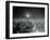 View of Brightest Continuous Manmade Source of Light-Sam Goldstein-Framed Photographic Print