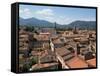 View of Buildings from Top of Torre Guinigi, Lucca, Tuscany, Italy-null-Framed Stretched Canvas