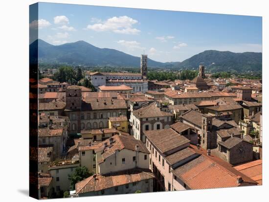 View of Buildings from Top of Torre Guinigi, Lucca, Tuscany, Italy-null-Stretched Canvas