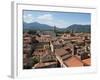 View of Buildings from Top of Torre Guinigi, Lucca, Tuscany, Italy-null-Framed Photographic Print