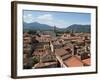 View of Buildings from Top of Torre Guinigi, Lucca, Tuscany, Italy-null-Framed Photographic Print