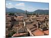 View of Buildings from Top of Torre Guinigi, Lucca, Tuscany, Italy-null-Mounted Photographic Print