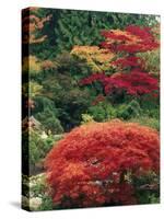 View of Butchart Garden, Victoria, British Columbia, Canada-Stuart Westmorland-Stretched Canvas