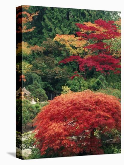 View of Butchart Garden, Victoria, British Columbia, Canada-Stuart Westmorland-Stretched Canvas