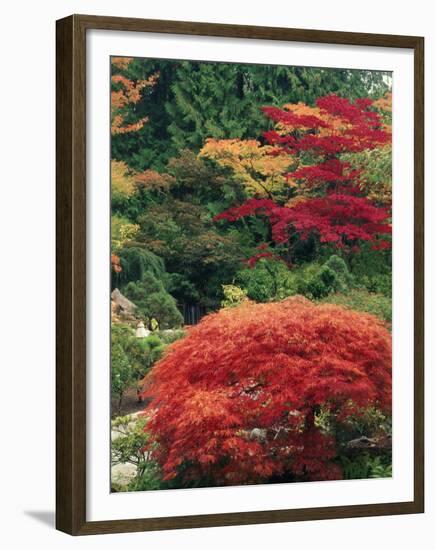 View of Butchart Garden, Victoria, British Columbia, Canada-Stuart Westmorland-Framed Premium Photographic Print