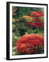 View of Butchart Garden, Victoria, British Columbia, Canada-Stuart Westmorland-Framed Premium Photographic Print