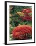 View of Butchart Garden, Victoria, British Columbia, Canada-Stuart Westmorland-Framed Premium Photographic Print