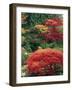 View of Butchart Garden, Victoria, British Columbia, Canada-Stuart Westmorland-Framed Photographic Print