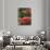 View of Butchart Garden, Victoria, British Columbia, Canada-Stuart Westmorland-Photographic Print displayed on a wall