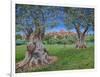 View of Cagnes Sur Mer from Renoir's garden, 2017-Trevor Neal-Framed Giclee Print