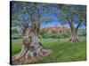 View of Cagnes Sur Mer from Renoir's garden, 2017-Trevor Neal-Stretched Canvas