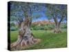 View of Cagnes Sur Mer from Renoir's garden, 2017-Trevor Neal-Stretched Canvas