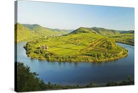 View of Calmont Vineyards-Jochen Schlenker-Stretched Canvas