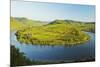 View of Calmont Vineyards-Jochen Schlenker-Mounted Photographic Print