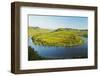 View of Calmont Vineyards-Jochen Schlenker-Framed Photographic Print