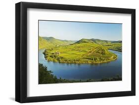 View of Calmont Vineyards-Jochen Schlenker-Framed Photographic Print