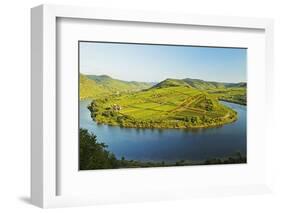 View of Calmont Vineyards-Jochen Schlenker-Framed Photographic Print