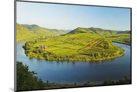 View of Calmont Vineyards-Jochen Schlenker-Mounted Photographic Print